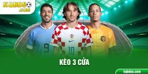 Ảnh đại diện kèo 3 cửa