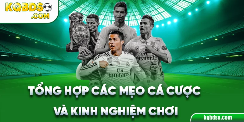 Tổng Hợp Các Mẹo Cá Cược Và Kinh Nghiệm Chơi